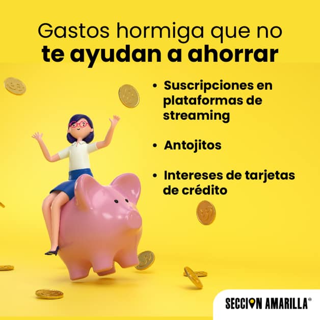 Imagen Placeholder Imagen Placeholder