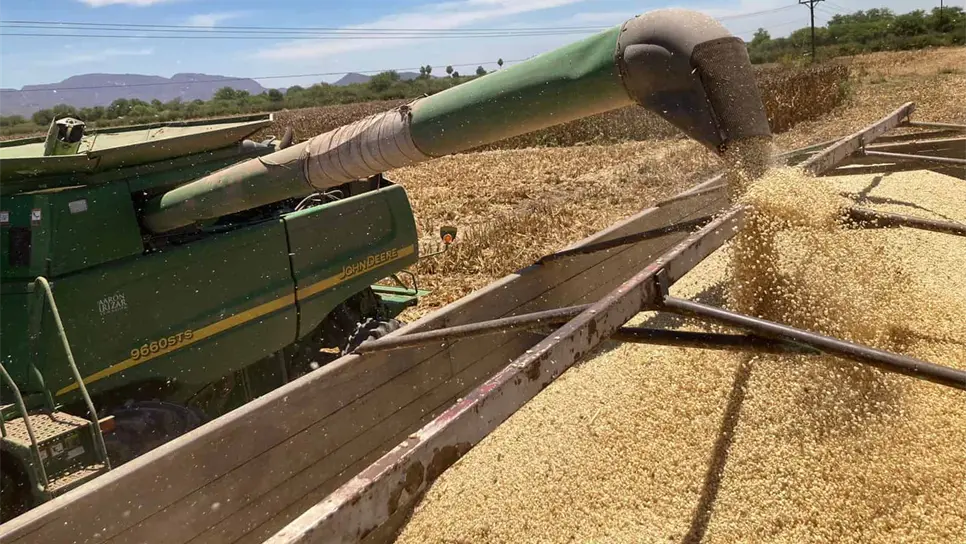 Esto debido a la negativa de los industriales a participar en el esquema de comercialización. FOTO: Luz Noticias