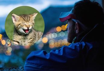 ¿Se perdió tu gato? Así puedes encontrarlo, según una leyenda japonesa