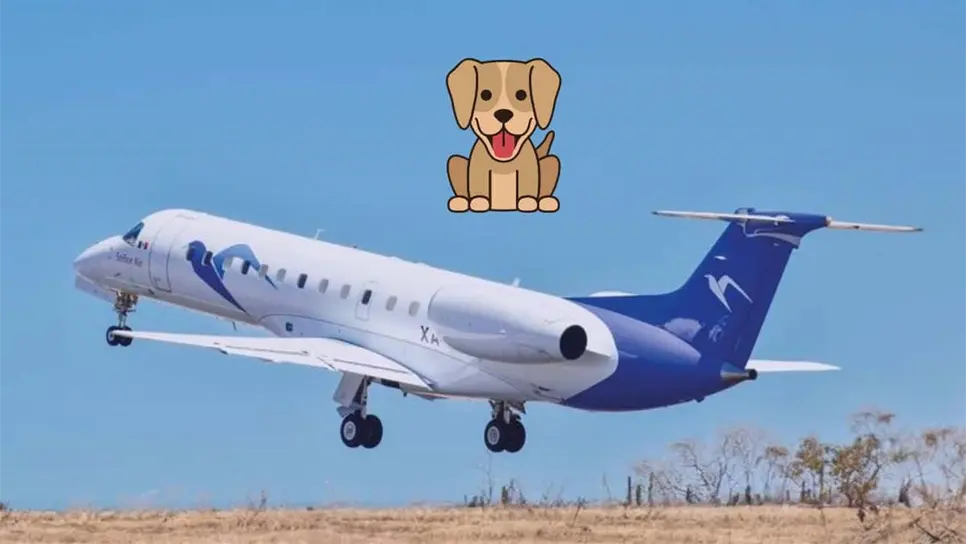 La nueva aerolínea aún no pone a la venta los boletos. FOTOS: Señor Air