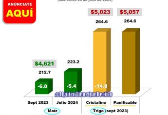 Caen precio de los granos