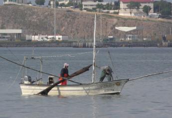 Piden se levante antes la veda del camarón en Sinaloa