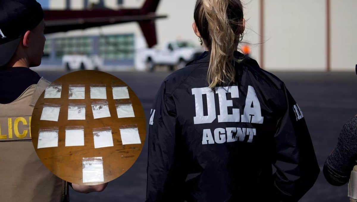 El único continente en el que no tienen presencia es en la Antártida. FOTO: Luz Noticias