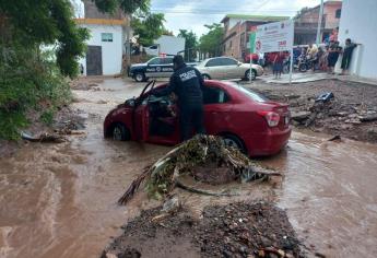 Un vehículo arrastrado, árboles caídos y un accidente vial es el saldo tras fuerte lluvia en Culiacán 