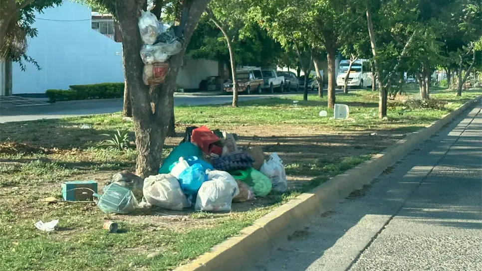 La multa por tirar basura en la calle supera los 2 mil pesos. FOTO: Luz Noticias