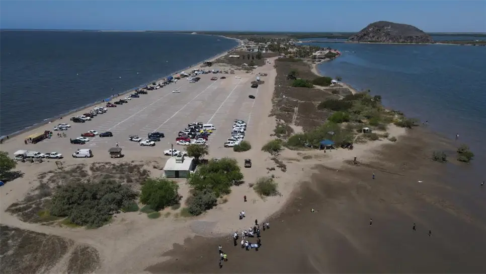 Descartan alerta por mortandad de peces en El Maviri