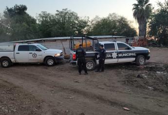 Muere adolescente en cuartería agrícola en el Campo 35, El Fuerte