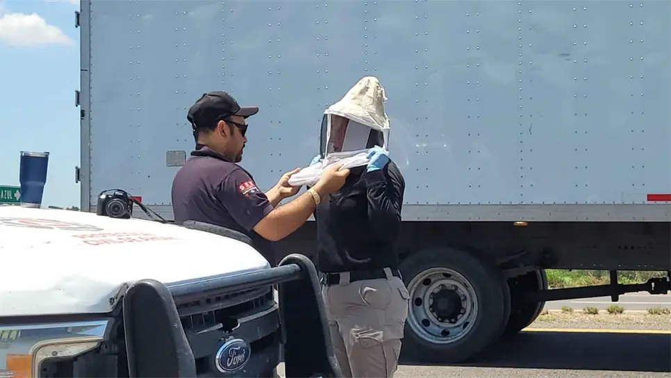 En Ahome PC atendió 87 casos de ataques de abejas en los últimos meses