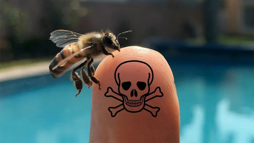 El ataque de un enjambre de abejas puede llegar a ser mortal.