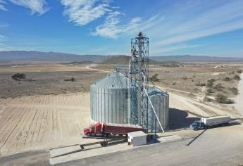 En la pobreza trigueros de El Carrizo; a tres meses siguen sin pagarles