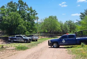 Localizan cuerpo de un hombre colgado con narcomensaje en el municipio de Sinaloa