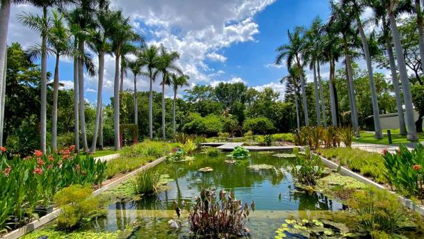 Conoce el Jardín Botánico de Culiacán