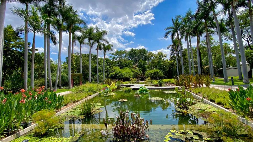 Conoce el Jardín Botánico de Culiacán