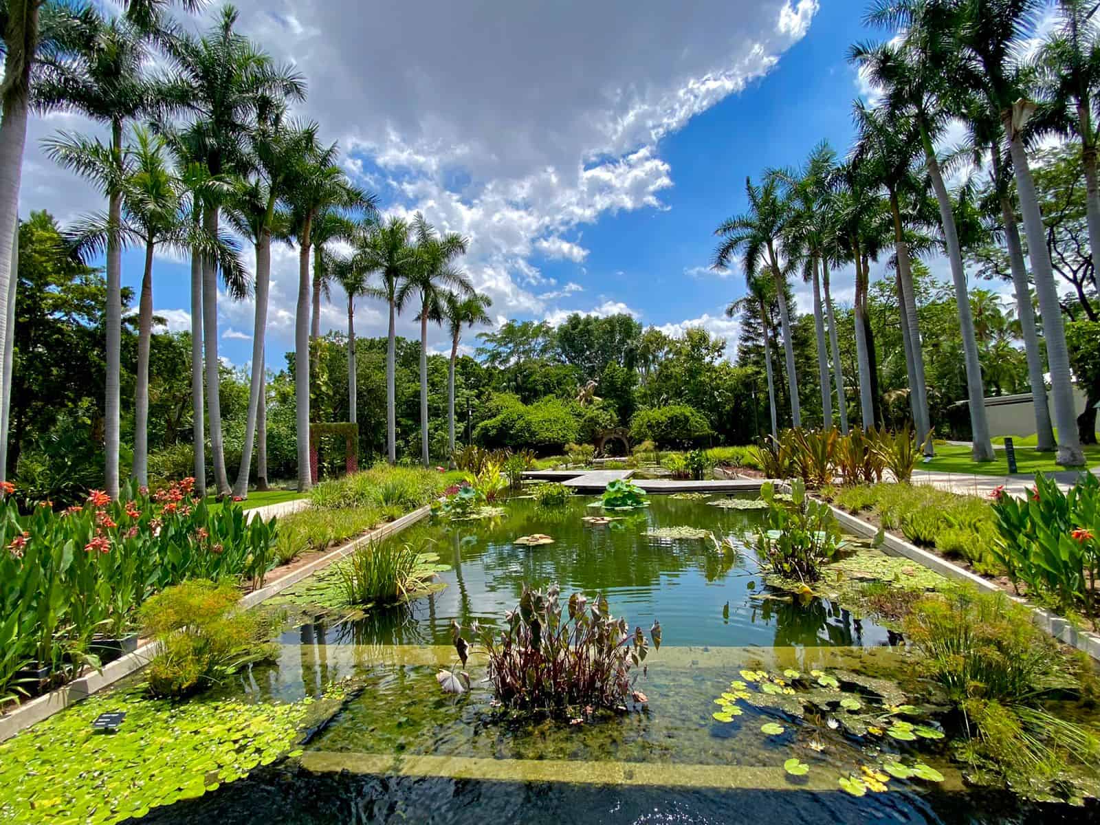 FOTO: Heidi Fonseca.