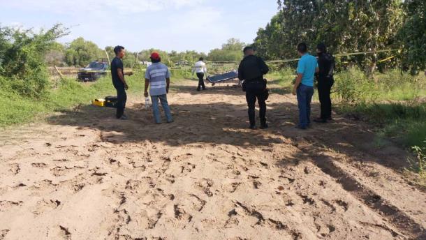 Encuentran muerto a un joven en una huerta de mangos en Ahome, al parecer por golpe de calor