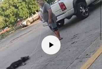Denuncian a hombre que presuntamente mató a un perro arrastrándolo con un mecate en Culiacán