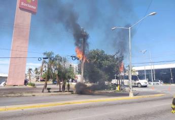 Camión choca contra poste, tumba cables y deja sin luz varias cuadras en Mazatlán