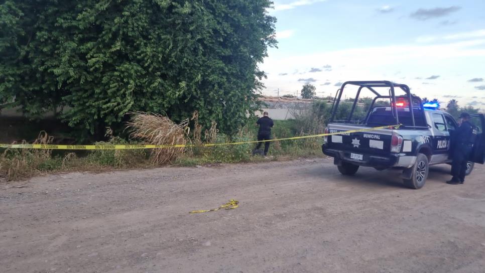 Encuentran a persona sin vida en el canal San Manuel de Aguaruto, Culiacán