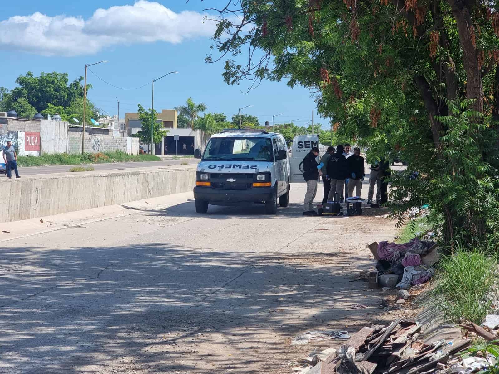 Los cuerpos fueron encontrados durante la mañana de este lunes. FOTO: Luz Noticias