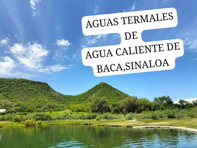 Imagen Placeholder Imagen Placeholder