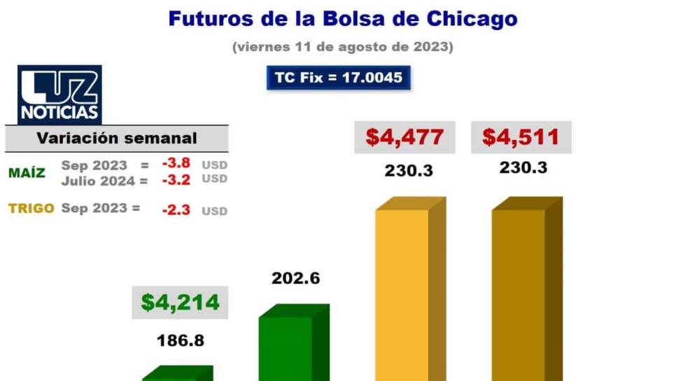 Oferta mundial de maíz se redujo en 11 millones de toneladas