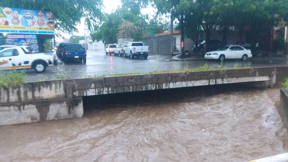 Árboles caídos y un vehículo varado, saldo de las fuertes lluvias en Culiacán