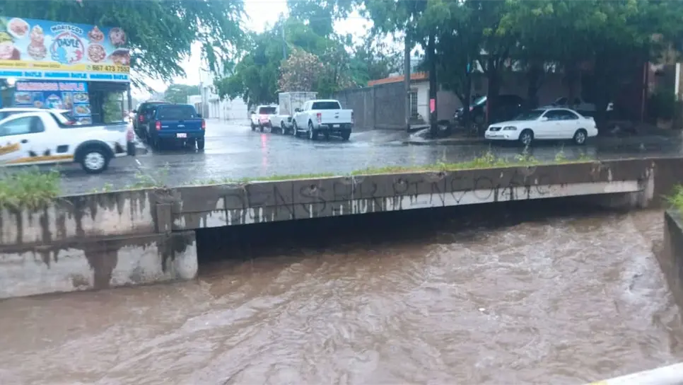 Árboles caídos y un vehículo varado, saldo de las fuertes lluvias en Culiacán
