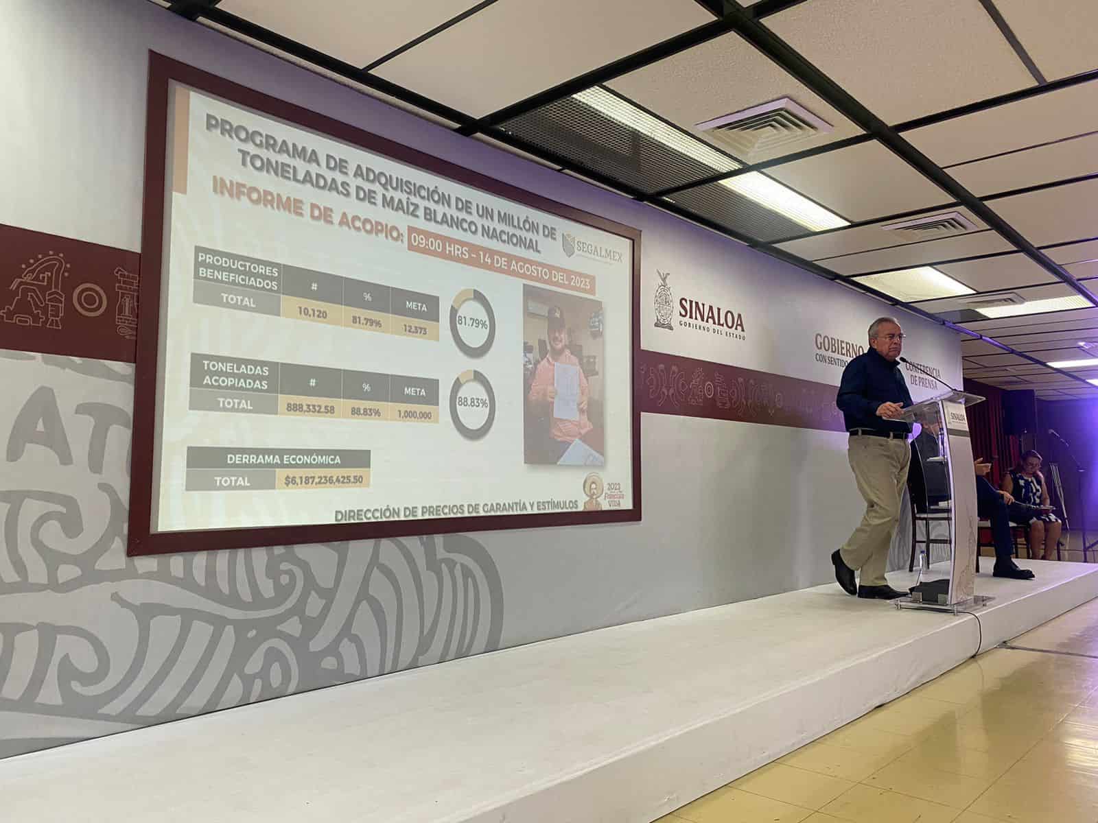 El maíz es fundamental en la economía sinaloense. FOTO: Luz Noticias