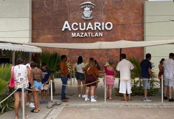 Antiguo Acuario de Mazatlán tiene más de 72 observaciones por parte de la ASE: alcalde