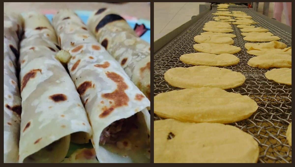 Tortilla de maíz o de harina: ¿Cuál es la más rica y saludable para tus tacos?