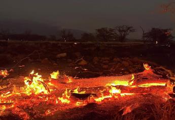 Dos mexicanos fallecieron por los incendios en Hawái