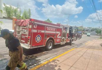 Palmera aplasta un vehículo en el Malecón Viejo de Culiacán