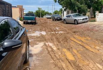 El «mega-lodón», el más temido para vecinos de Villa Tutili en Mazatlán