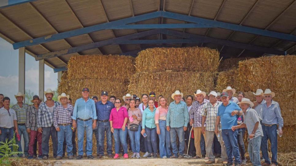 Ganaderos de El Fuerte reciben apoyo de pacas de maíz 