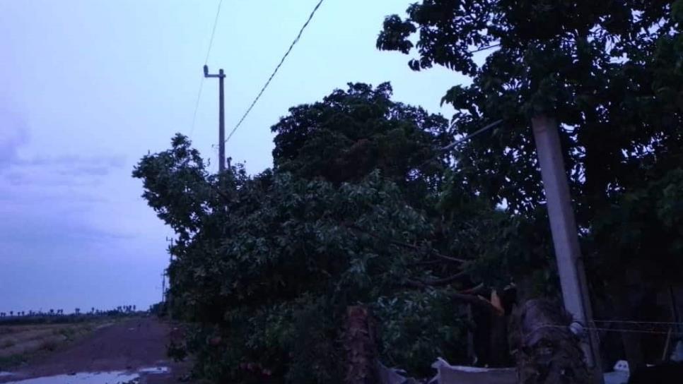 Vientos de «Hilary» dejaron sin luz, agua y señal  a Villa de Ahome hace 12 horas. 