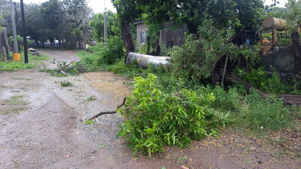 Este fue el último huracán que golpeó a Sinaloa, ¿de qué categoría fue?