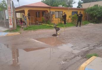 Se abre socavón en Higuera de Zaragoza