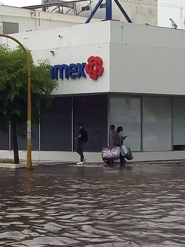 Imagen Placeholder