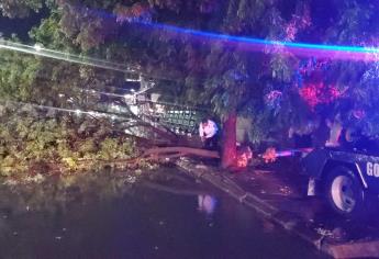 Árboles caídos y vehículos varados, los resultados de la fuerte tormenta en Culiacán