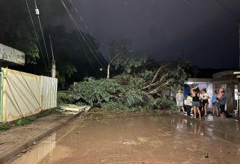 Tormenta en Culiacán deja sin luz a decenas de colonias 