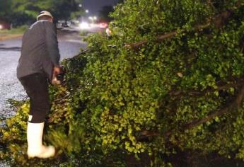 La tormenta suscitada en Culiacán provocó la caída de árboles, espectaculares y postes