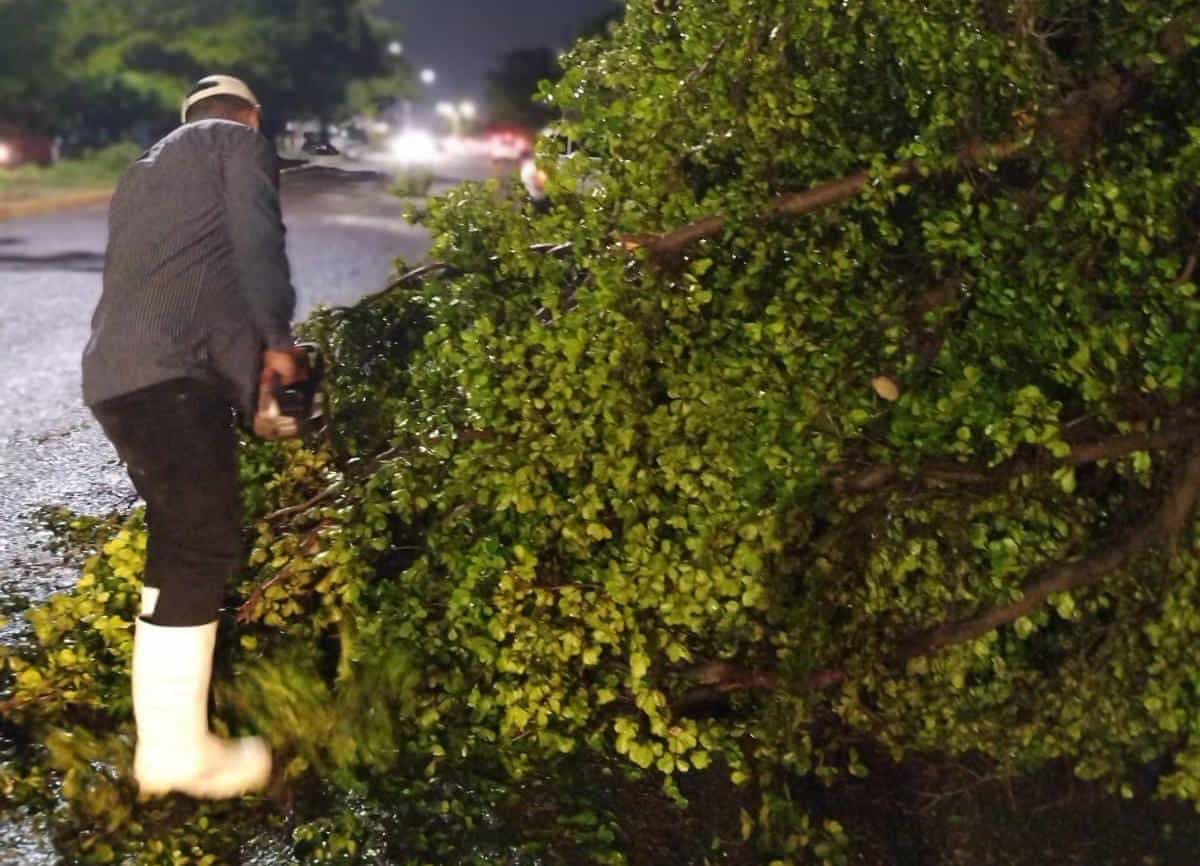 FOTO: Sebastián Martínez.