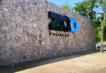 ¡Vamos al zoológico de Culiacán! Estos son los precios y show que ofrece