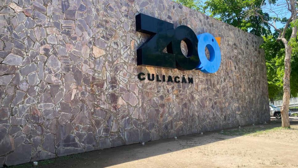 ¡Vamos al zoológico de Culiacán! Estos son los precios y show que ofrece