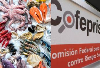 Cofepris emite alerta por mariscos envenenados provenientes de Baja California