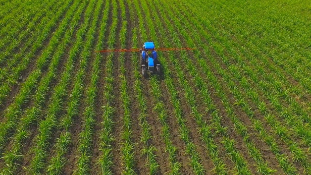 Imagen Placeholder Imagen Placeholder