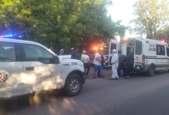 Enjambre de abejas ataca a tres hombre en San José de Ahome y envía a dos al hospital