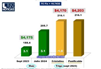 Bajo precio del maíz no se refleja en costo de tortillas 