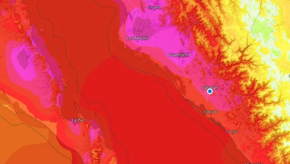 Imagen Placeholder Imagen Placeholder