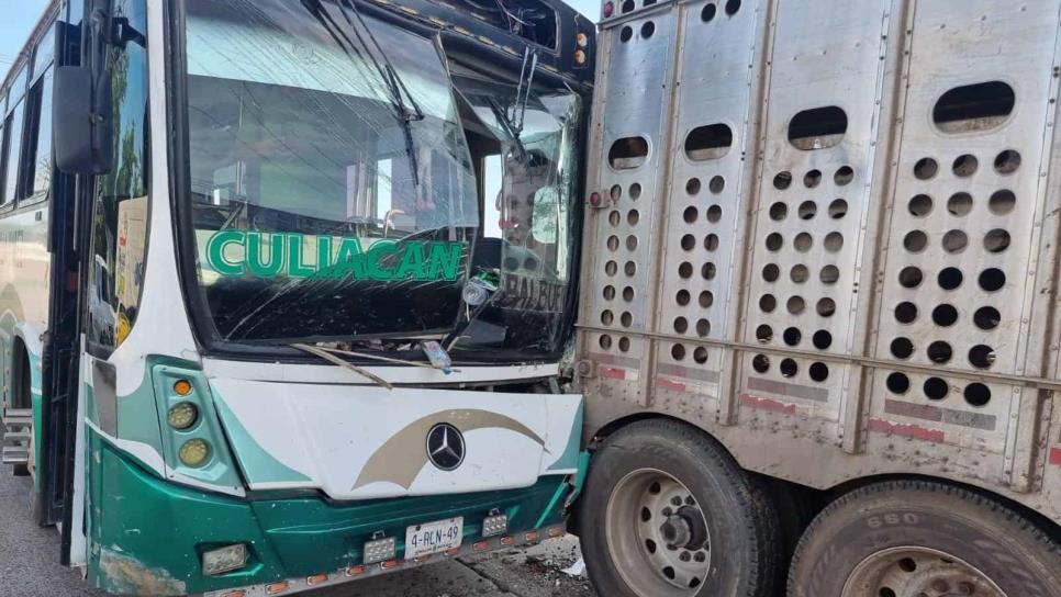 Un accidente por el sector Tres Ríos en Culiacán salva a 40 cabezas de ganado de ir al matadero Un accidente por el sector Tres Ríos en Culiacán salva a 40 cabezas de ganado de ir al matadero